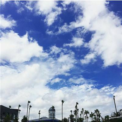 南宫28ng娱乐手机app下载