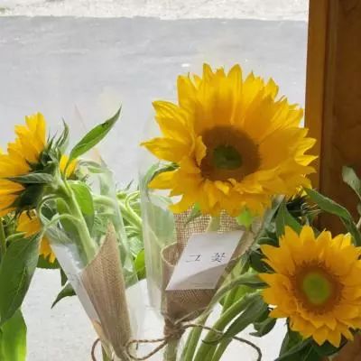 天博tb官网链接