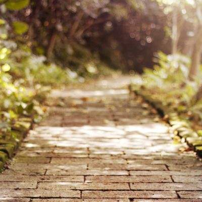 888集团电子游戏