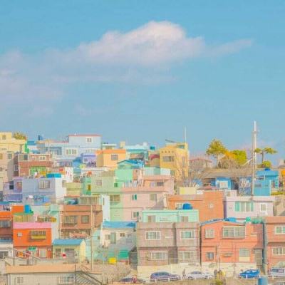 澳门王中王100%的资料